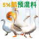 Sino-US Puke 5 goose premix, fattening goose premix, goose seedlings, lion head goose special feed, egg-laying goose feed premix, 5 growing goose premix 50Jin Jin is equal to 0.5 kg