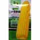 Wangyuanxing early-maturing yellow waxy corn seeds in the field, high-yield and high-quality yellow waxy corns, fragrant and waxy skins, thin and residue-free big cob corn seeds, Jinbonong white sweet and waxy/200g white sweet and waxy corns