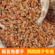 Five-color millet bird feed mixed grain rutin, chicken millet, tiger skin, peony, black phoenix, small and medium-sized parrots 1Jin Jin equals 0.5kg 5Jin Jin equals 0.5kg 500g five-color millet