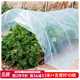 Beishu insect-proof net, vegetable growing net cover, vegetable field arch shed protective net, vegetable shed plastic film and bracket insulation film to prevent cold, grow vegetables to prevent cold and thickened arch shed film, 2 meters wide * 5 meters long + 10 support poles