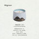 Shantou Lincun gnon rain sleep thing pine breeze enters the dream scented candle gift box pine breeze enters the dream