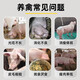 Genuine pig giant feed additives to promote fattening, promote growth, rapid weight gain, and fattening pigs to eat and gain meat 1 bag, 500g bag, pig fattening