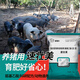Aizhu Lesu Zhuangmei fattening pig additives for small pigs that do not eat long guanidinoacetic acid premix for large pigs and medium pig concentrated feed 1 bag (weighing 1000 grams) for fattening and weight gain