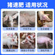 OIMG pig fattening, enlarging skeleton, growth-promoting premix, rapid growth, early slaughter, weight gain, fattening pig feed additive, buy 2 barrels, get 2 barrels free, 4 barrels in total.