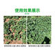 Green Long nitrogen, phosphorus and potassium balance high potassium rooting water-soluble fertilizer large-scale element water-soluble fertilizer nutrient fertilizer flush fertilization 20kg large-scale element balance type 20kg