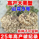 25-year-old new agricultural science peanut seeds, large seeds, disease-resistant, drought-tolerant, stable yield, shelled and flood-resistant field seeds and fruits, 25-year-old new seeds, thin shells and large fruits, Shanhua No. 9, no regrets if you don’t buy it, super original species 10Jin Jin equals 0.5kg, can be distributed in seed breeding base