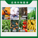 Guoguang 40% Ethephon Cotton Tomato Rice Banana Growth Ripening Agent Growth Regulator 1000g