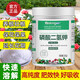 Qideng potassium dihydrogen phosphate fertilizer household agricultural indoor and outdoor green plant flower potted leaf spray fertilizer general flower fertilizer potassium dihydrogen phosphate 100g*1 bag