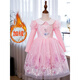 HAL.DUCK Girls' New Year's Clothes Fashionable Ice and Snow Elsa Princess Skirt Elsa Autumn Children's Clothing Birthday New Elsa Winter Plus Velvet Pink Skirt Free Crown Stick 140 Recommended Height 130cm