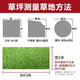 Benzhong artificial turf, artificial turf, fake turf, lawn mat, artificial turf, fake turf, fake turf, turf, 2cm without adhesive, one square meter, starting at 50 pieces, for small quantities, only samples will be sent