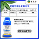 15% Prohexadione Calcium Uniconazole Plant Growth Regulator Rice Suspension Low Toxicity Control Leggy 500ml 4 Bottles