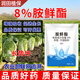 Runtian Baihu Official Genuine 8% Acetate Genuine Plant Growth Regulator Promotes Growth National Standard Wholesale 8% Acetate 12g*10 Bags