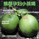 Hainan Wenchang Green Coconut with Skin Freshly Picked Coconut Juice Seasonal Fruit Coconut - Wancheng 4 pieces Hainan Green Coconut with Skin (Authentic Origin)
