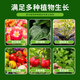 Nutrient soil, universal organic soil, household potted succulent flower and vegetable cultivation, special soil for flower cultivation, peat soil, universal nutrient soil for flower cultivation and vegetable cultivation, 5 Jin Jin is equal to 0.5 kg