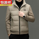 Hengyuanxiang новый зимний мужской пуховик, зимние вязаные съемные рукава, модный воротник-стойка, повседневная непромокаемая куртка, утиный пуховик, Liulu L 175