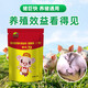 Genuine pig giant feed additives to promote fattening, promote growth, rapid weight gain, and fattening pigs to eat and gain meat 1 bag, 500g bag, pig fattening