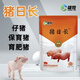 OIMG Pig Day Long Feed Additive for Piglets Growth Promoting Concentrated Premix Weight Gaining Fattening Agent Appetizer 6 Bags Buy 5 Bags Get 1 Bag Free Cost-effective