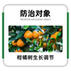 Jin Da Ge 5% benzylaminopurine plant growth regulator citrus fruit trees promote flower bud differentiation agricultural regulator foliar fertilizer 500ml*1 bottle