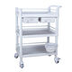 OTHER car therapy trolley plastic steel tool trolley medium size two layers without