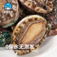 Seafood Family Fujian frozen large abalone net weight 360g 8 pieces hot pot barbecue ingredients fresh shellfish seafood New Year gifts