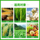 24 table high brassinolide brassinolide brassinolide fruit tree wheat brassinolide plant growth regulator 1000g