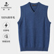 Langden 2029 autumn and winter V-neck men's vest vest warm pullover woolen sweater