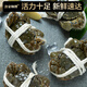 Live Crab Fisherman Master Hairy Crab Whole Female 2.5-2.8 Liang 8 Pieces Full-weight Fresh Crabs in Stock Fresh Aquatic Seafood Gift Box