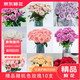 Jingdong Flowers Boutique Soilless Cultivation Roses in Random Colors 10 Pack New Year's Eve and New Year's Day New Year's Eve Gifts 45-50CM Straight from the Source