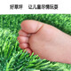 Renowned in Jiuzhou, simulated lawn carpet, fake turf bedding, plastic outdoor artificial court, artificial fence, kindergarten floor mat, 2 meters wide * 2 meters long, 2.0 grass height