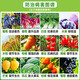 Brassinolide lipid s inducer, cytokinin, plant growth regulator, flower bud differentiation promoting pesticide 500g