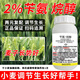 Runtian Baihu Store Hot Sale Benzylamine Alkanol Wheat Special Growth Regulator Old Brand National Standard Growth Regulator 100g*1 Bottle One Bottle One Code Complete with Three Certificates Source Manufacturer + Complete Three Certificates + Special for Wheat