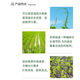 Guoguang 15% paclobutrazol fruit tree plant flower succulent dwarfing agent chlormequat control growth growth regulator 200g