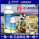 Aowei Aofeng 1.8% sodium nitrophenolate growth regulator promotes germination, accelerates roots and early blooms cotton agricultural use 1000g*6 bottles