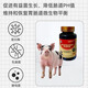 Veterinary feed additive lactic acid bacterium tablets for pigs, cattle, sheep, dogs, protease, lactic acid bacteria, yeast, calcium lactate