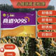 Nationally approved corn seed Shangdao 909s high-yield, disease-resistant, lodging-resistant, low-stemmed, big stick, high-quality early-maturing corn seed, 4 bags free of charge