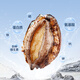 Seafood Family Fujian frozen large abalone net weight 360g 8 pieces hot pot barbecue ingredients fresh shellfish seafood New Year gifts