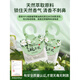 Shantou Lincun Lavender Clothing Sachet Wardrobe Deodorizing Long-lasting Fragrance Fresh Lavender Bag
