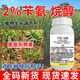 Runtian Baihu Store Hot Sale Benzylamine Alkanol Wheat Special Growth Regulator Old Brand National Standard Growth Regulator 100g*1 Bottle One Bottle One Code Complete with Three Certificates Source Manufacturer + Complete Three Certificates + Special for Wheat
