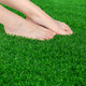 Renowned in Jiuzhou, simulated lawn carpet, fake turf bedding, plastic outdoor artificial court, artificial fence, kindergarten floor mat, 2 meters wide * 2 meters long, 2.0 grass height