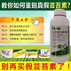 Jiuyin whole box 28-super high brassinolide plant regulating growth Yuntai lactone promotes rooting, strong seedlings and promotes fertilizer effect half box special offer 1000ml 6 bottles