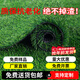 Renowned in Jiuzhou, simulated lawn carpet, fake turf bedding, plastic outdoor artificial court, artificial fence, artificial turf, 2 meters wide * 20 meters long, grass height 2 cm
