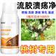 Gengfengwang peach tree gum disease special medicine peach tree gum disease one spray to clean peach tree scab disease perforation canker peach tree gum disease medicine 500ml (can be mixed with 1000Jin Jin equal to 0.5 kg of water)