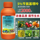 Yun Tianfeng 5% benzylaminopurine cytokinin citrus promotes flower bud differentiation, fruit expansion, accelerated growth regulator 100ml