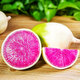 Jingdida Weifang Xinmei Fruit Radish net weight 5Jin Jin is equal to 0.5kg, single fruit 100g+, straight from the source