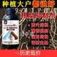 Root rot agent, anti-heavy crop root rot damping off, leaf rot, root root activation, soil manufacturer direct sale 10006 bottles + measuring cup + agricultural supplies guidance