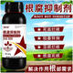 Kevohua upgraded version of root rot agent damping off rotten root base, weak seedlings taking root, activated soil to prevent soil-borne diseases, root rot agent 1000g, 2 bottles