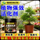 Soil activator soil activator flower fertilizer household potted plant activation anti-hardening rooting fertilizer nutritional flower green buy 3 get 2 free activate stiff soil to violently promote growth