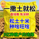 Loosening essence soil activator loosens and improves the land soil board without deep tillage soil activator universal fertilizer 200g 5 bags buy 3 get 2 free