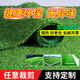 Renowned in Jiuzhou, simulated lawn carpet, fake turf bedding, plastic outdoor artificial court, artificial fence, kindergarten floor mat, 2 meters wide * 2 meters long, 2.0 grass height