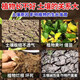Eight old men loosening essence soil activator loosens and improves soil hardening without deep tillage general saline-alkali soil conditioner fertilizer 1 bag 500g tube 2 acres loose soil without deep tillage